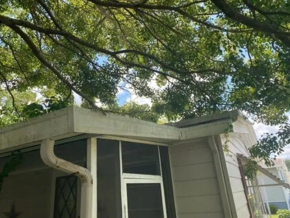 Affordable garden landscaping in Inverness, FL - L & M property management