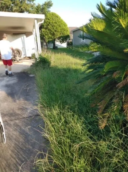 Expert outdoor landscaping in Inverness, FL by L & M property management