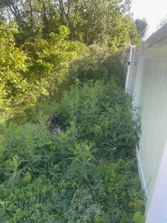 Local landscape design in Pittsburgh, PA by L & N Landscaping