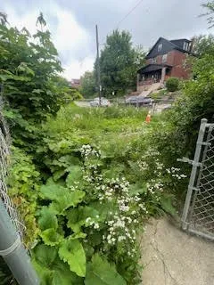 Trusted residential landscaping for outdoor upgrades across Pittsburgh, PA - L & N Landscaping