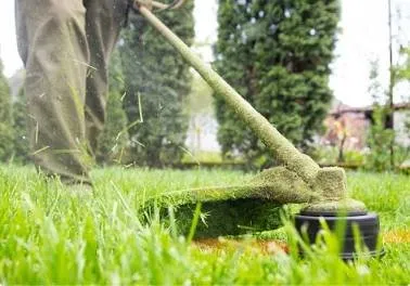 Professional yard cleanup service for year-round maintenance in Pittsburgh, PA by L & N Landscaping