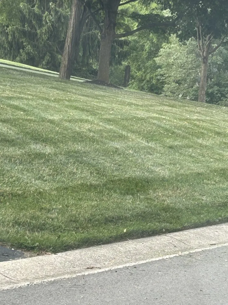 Trusted landscaping services in Indianapolis, IN - L & N Lawncare Services