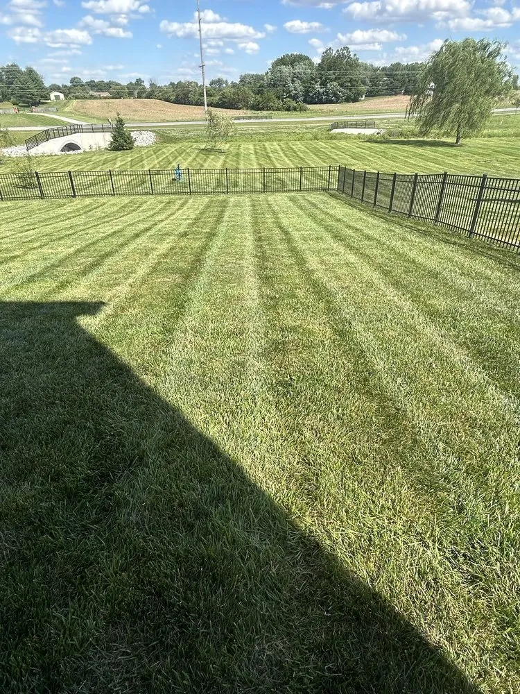 Affordable lawn care service in Indianapolis, IN - L & N Lawncare Services