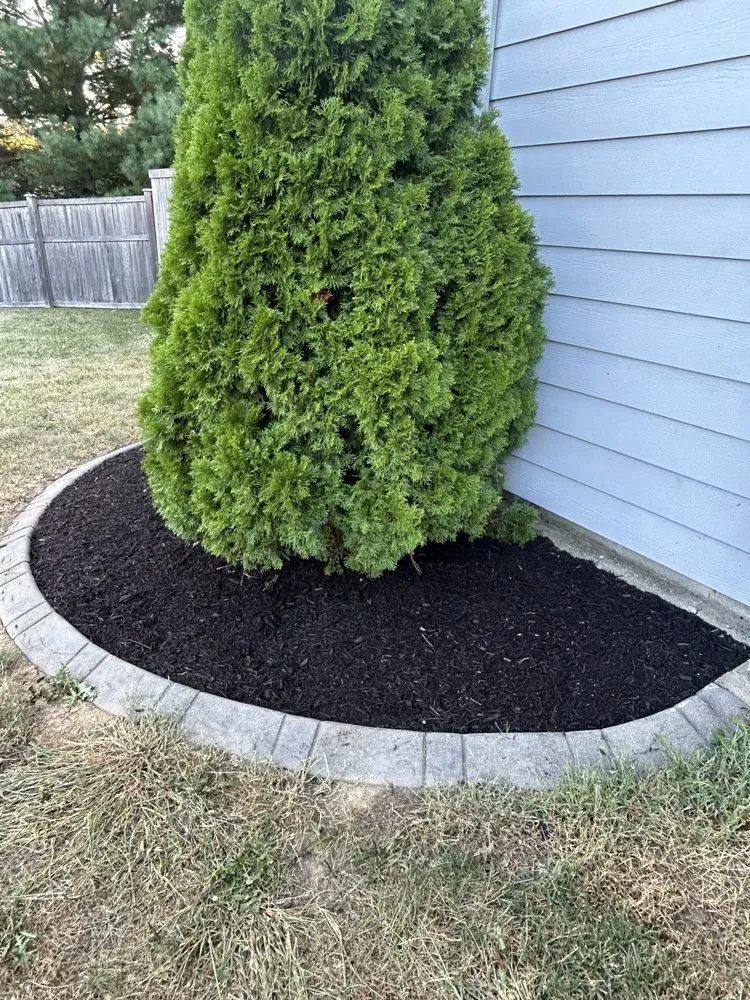 Custom landscaping services for outdoor upgrades in Indianapolis, IN by L & N Lawncare Services