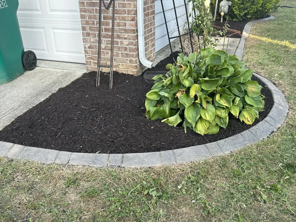 Affordable landscape design in Indianapolis, IN - L & N Lawncare Services