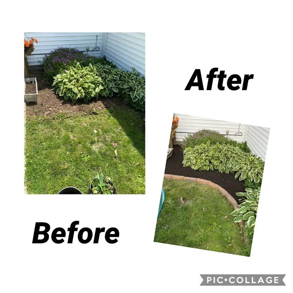 Custom yard maintenance in Indianapolis, IN by L & N Lawncare Services