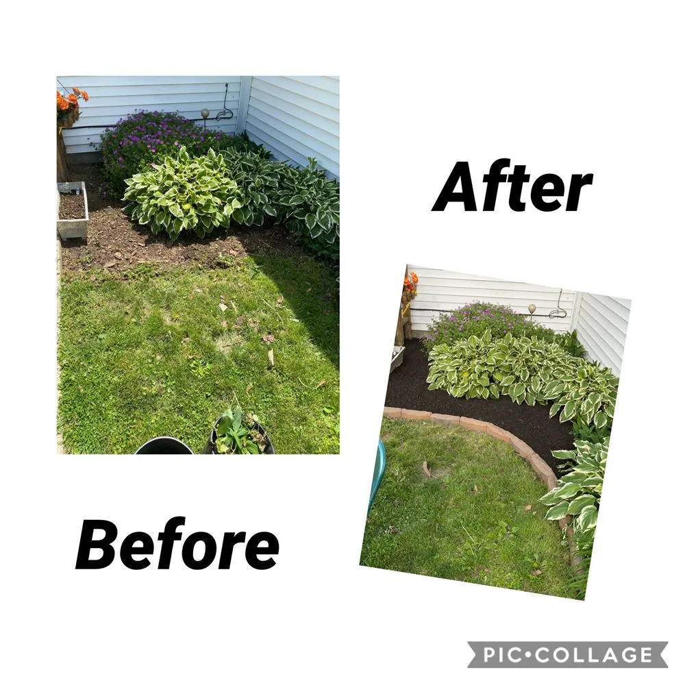 Affordable landscape installation experts serving Indianapolis, IN - L & N Lawncare Services