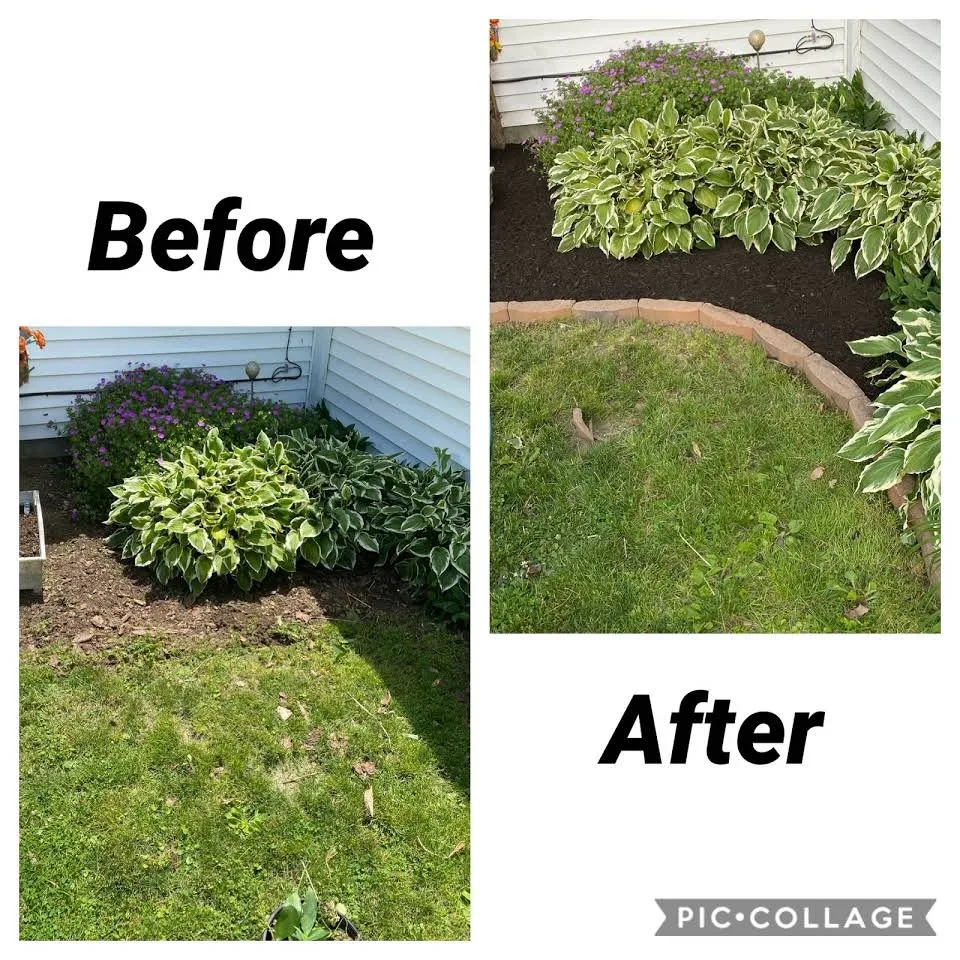 Custom yard cleanup service experts serving Indianapolis, IN - L & N Lawncare Services