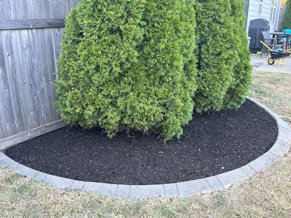 Affordable residential landscaping for outdoor upgrades in Indianapolis, IN by L & N Lawncare Services