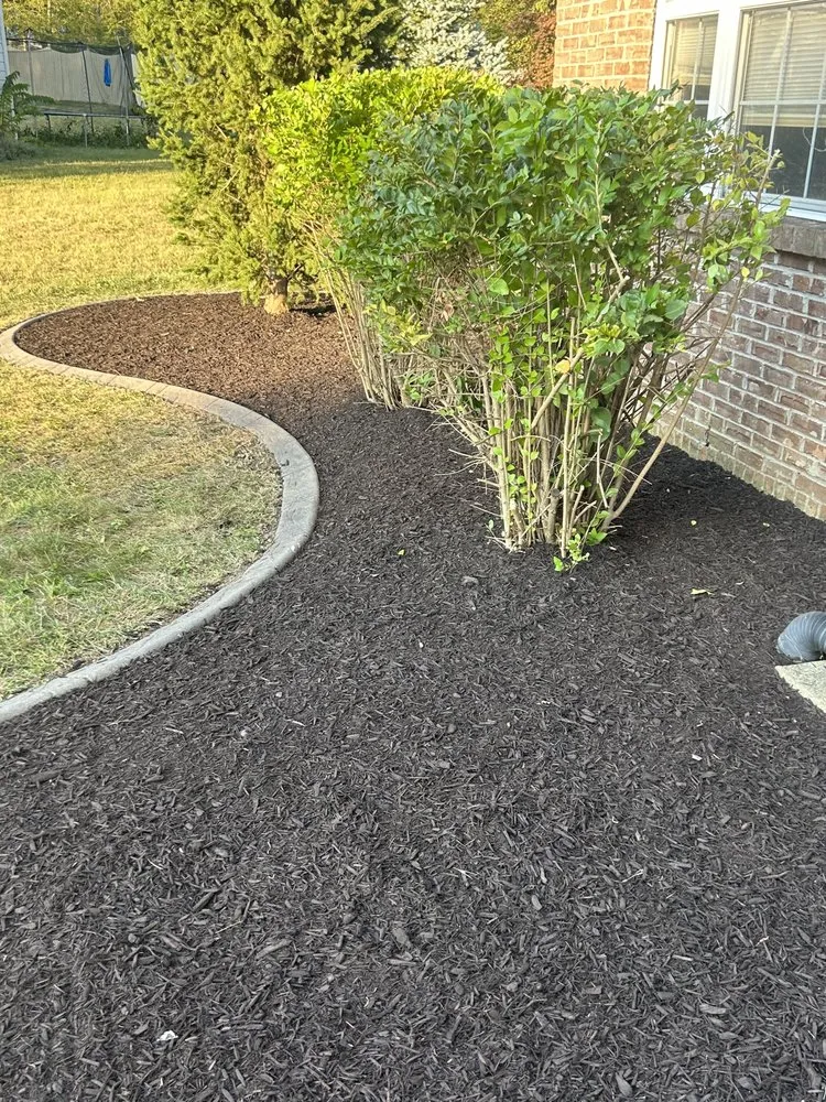 Trusted yard cleanup service in Indianapolis, IN - L & N Lawncare Services