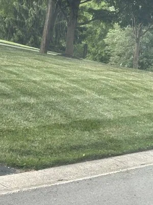 L & N Lawncare Services Logo