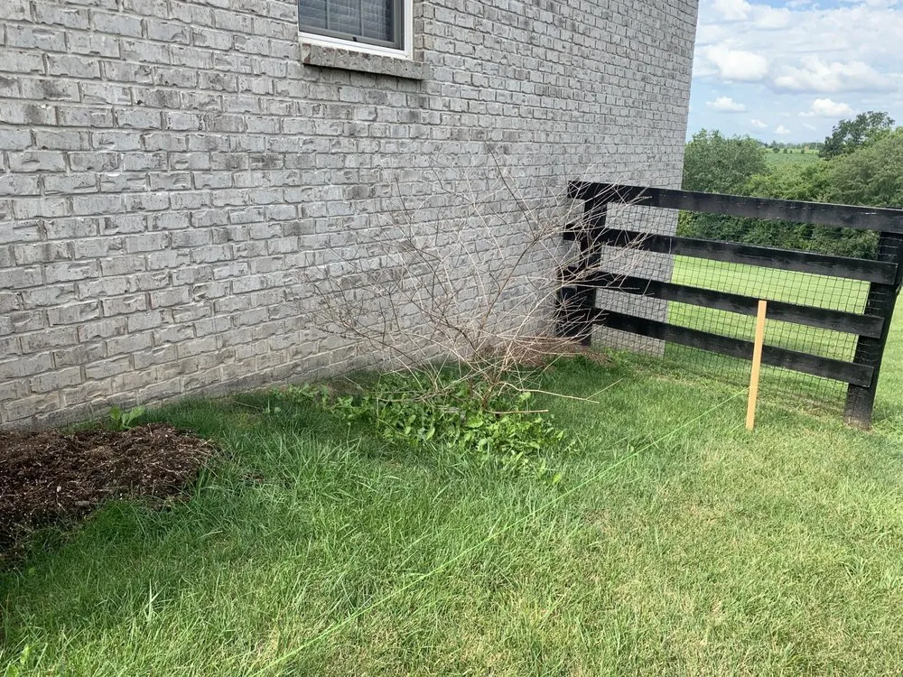 Local lawn care service near you in Lexington, KY by L & P Landscaping