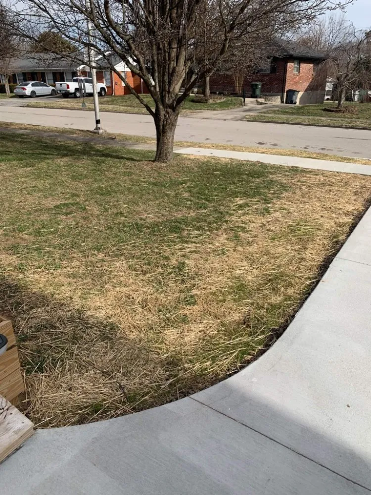 Custom lawn care service in Lexington, KY by L & P Landscaping