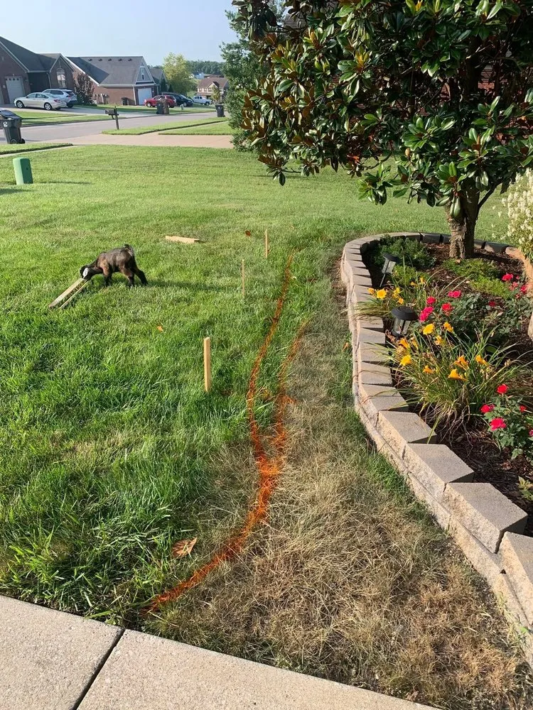 Custom landscape design in Lexington, KY by L & P Landscaping