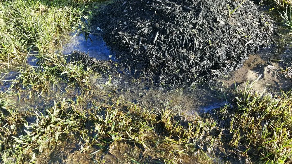 Professional yard cleanup service in Lakewood, NJ by L & R Landscaping