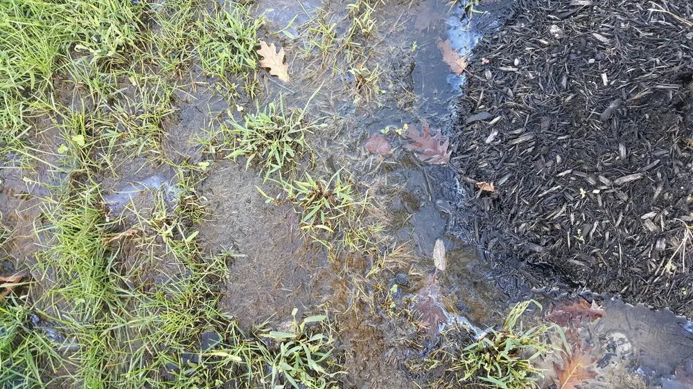 Trusted outdoor landscaping for homes across Lakewood, NJ - L & R Landscaping