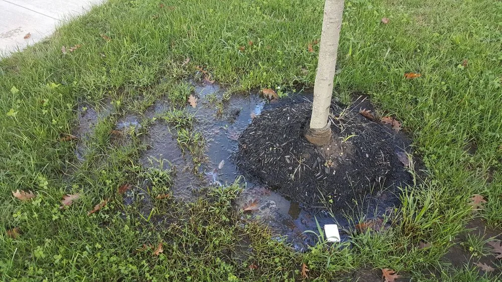 Local outdoor landscaping in Lakewood, NJ by L & R Landscaping