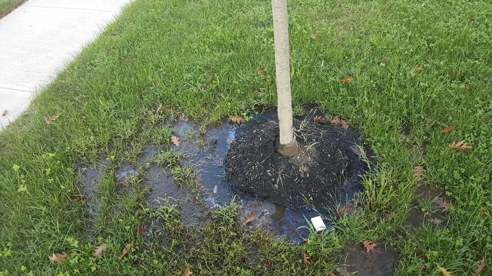 Local outdoor landscaping for year-round maintenance across Lakewood, NJ - L & R Landscaping