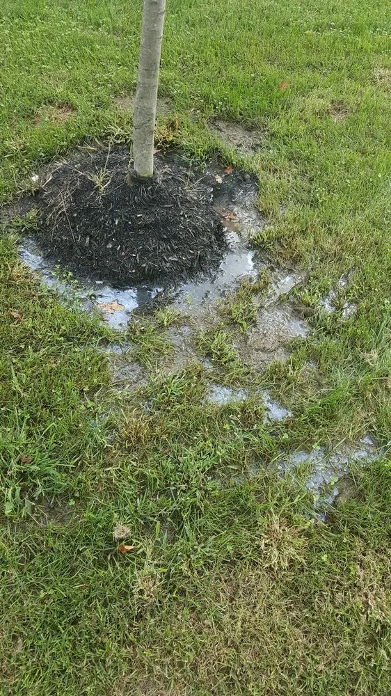 Trusted lawn care service for beautiful yards in Lakewood, NJ by L & R Landscaping