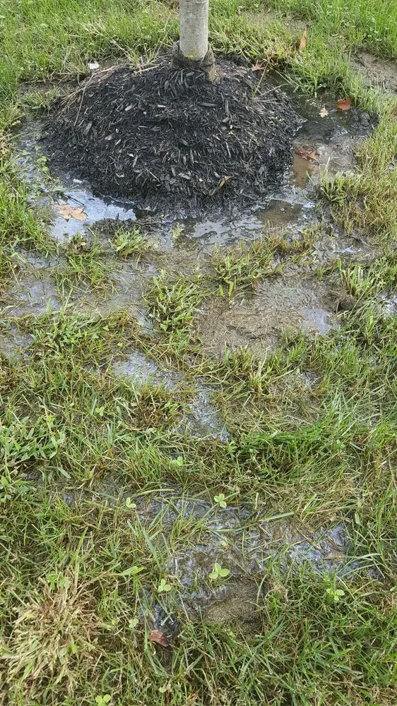 Affordable garden landscaping in Lakewood, NJ - L & R Landscaping