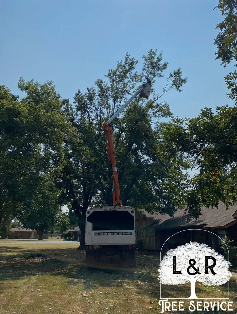 Affordable garden landscaping in Oklahoma City, OK by L & R Tree Service