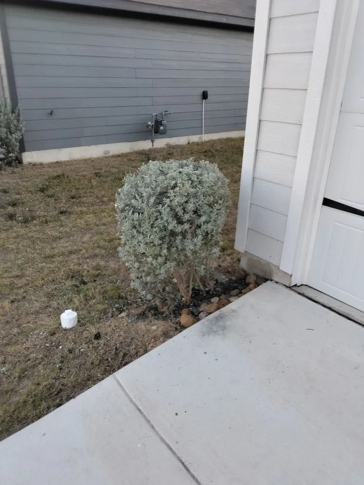 Trusted yard cleanup service in Austin, TX - L & S Landscaping and More