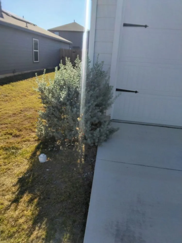 Professional landscaping services experts serving Austin, TX - L & S Landscaping and More