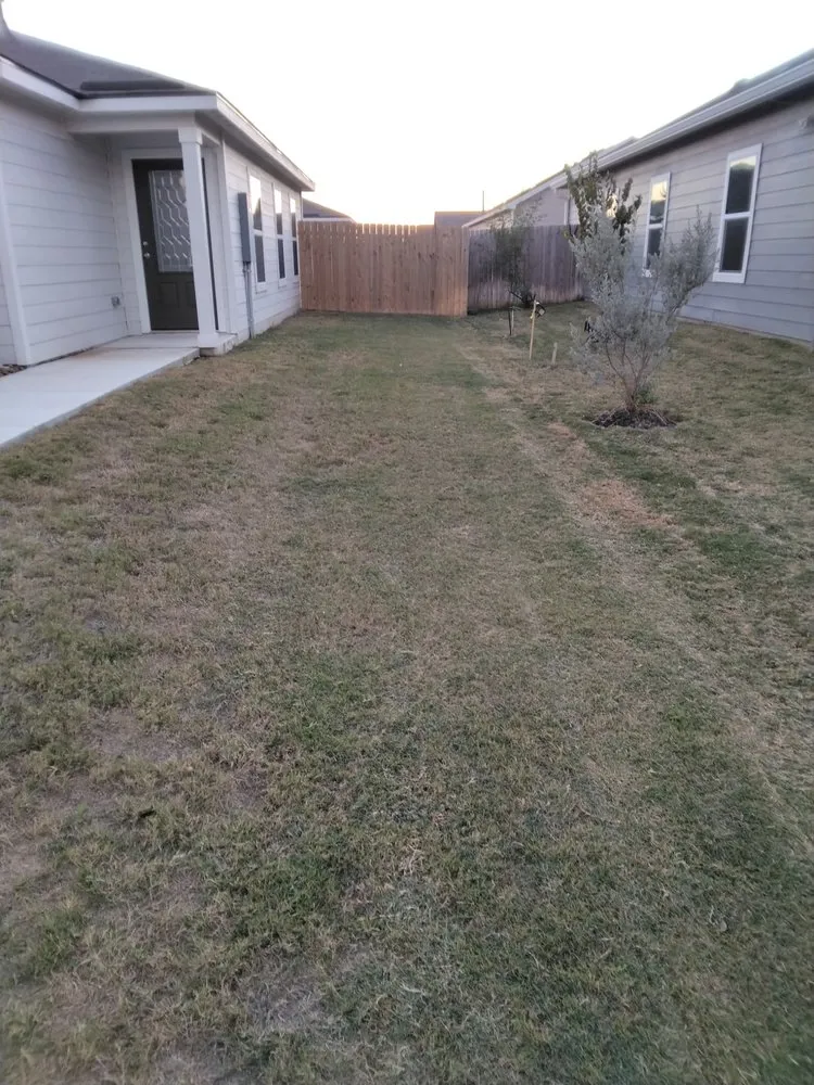 Reliable lawn care service for outdoor upgrades across Austin, TX - L & S Landscaping and More