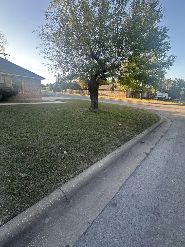 Trusted yard cleanup service in Austin, TX by L & S Landscaping and More