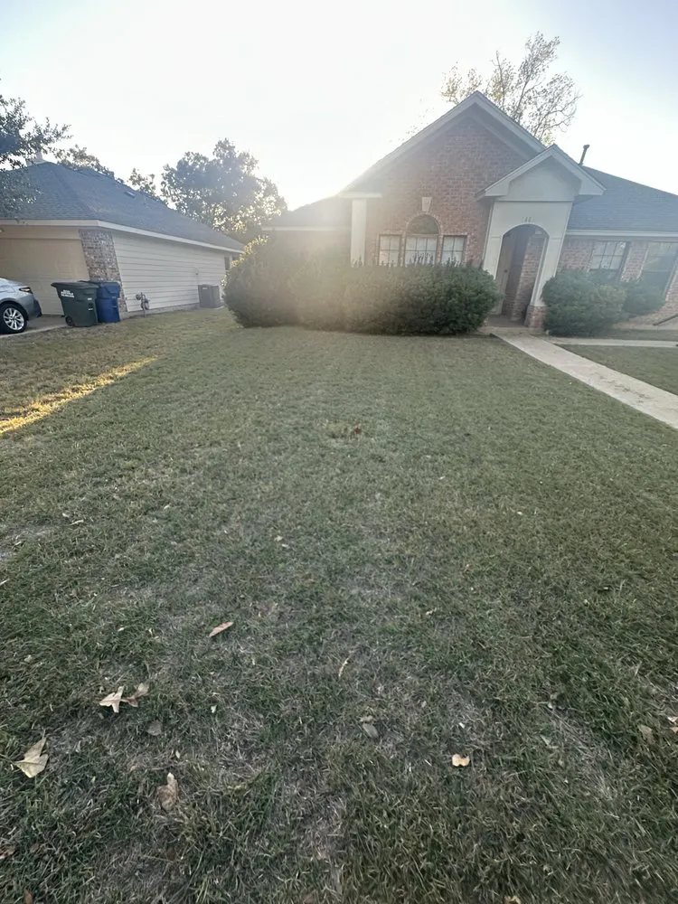 Custom landscaping services experts serving Austin, TX - L & S Landscaping and More