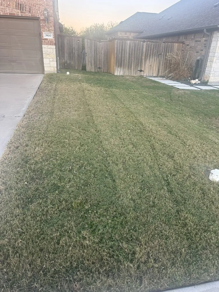 Local garden landscaping experts serving Austin, TX - L & S Landscaping and More