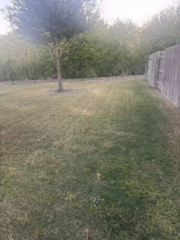 Top-rated landscape installation in Austin, TX - L & S Landscaping and More