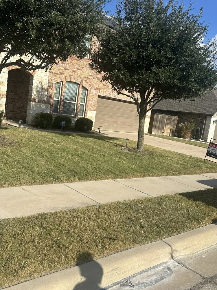 Professional landscape installation in Austin, TX by L & S Landscaping and More