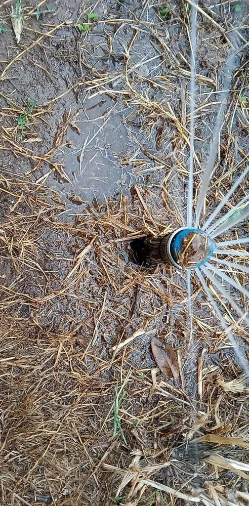 Expert landscape design in Austin, TX by L & S Landscaping and More