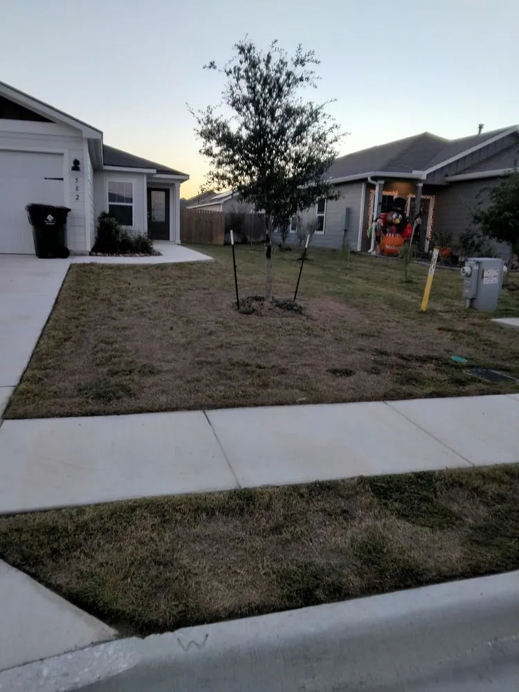 Professional landscaping services in Austin, TX by L & S Landscaping and More