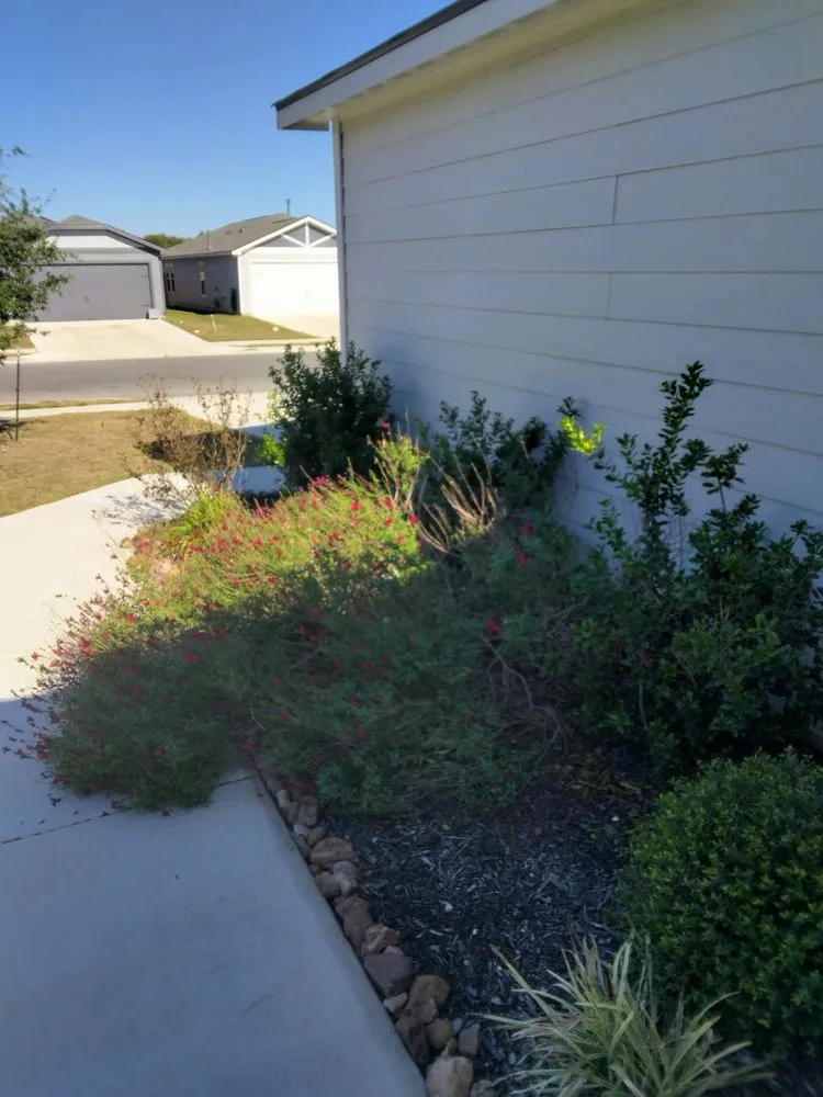 Top-rated yard maintenance in Austin, TX - L & S Landscaping and More