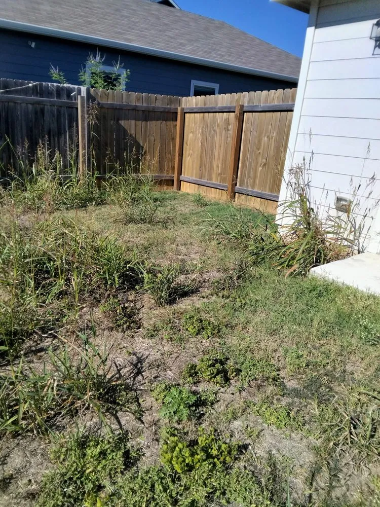 Local yard maintenance for homes in Austin, TX by L & S Landscaping and More