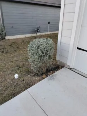 L & S Landscaping and More Logo