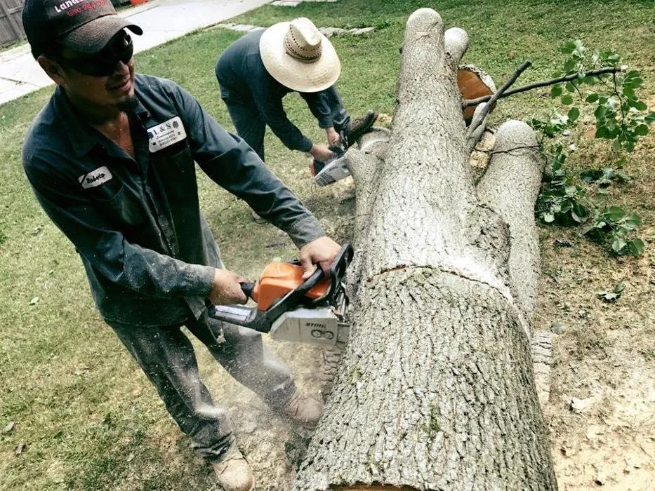 Expert outdoor landscaping experts serving Bolingbrook, IL - L & S Landscaping