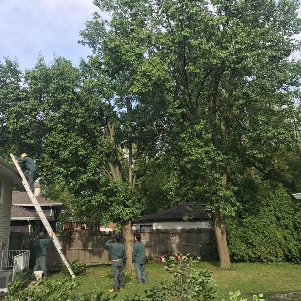 Reliable garden landscaping in Bolingbrook, IL by L & S Landscaping