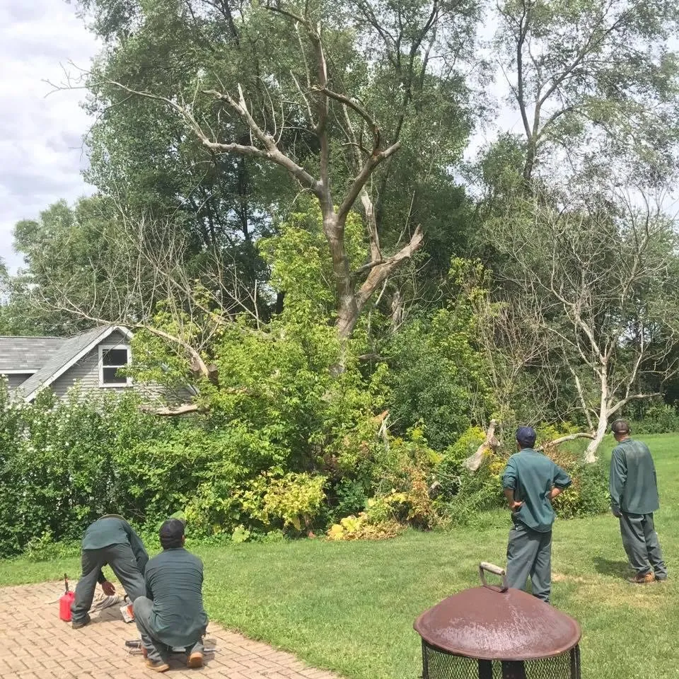Local yard cleanup service in Bolingbrook, IL by L & S Landscaping