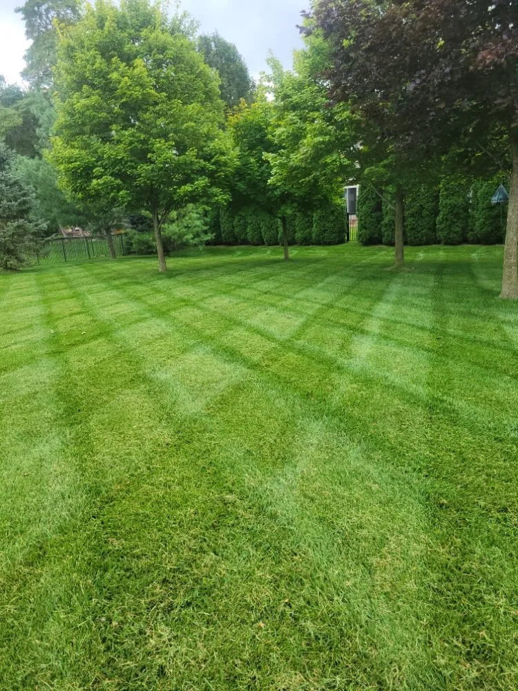 Custom lawn mowing service experts serving Ray, MI - L & S Removal