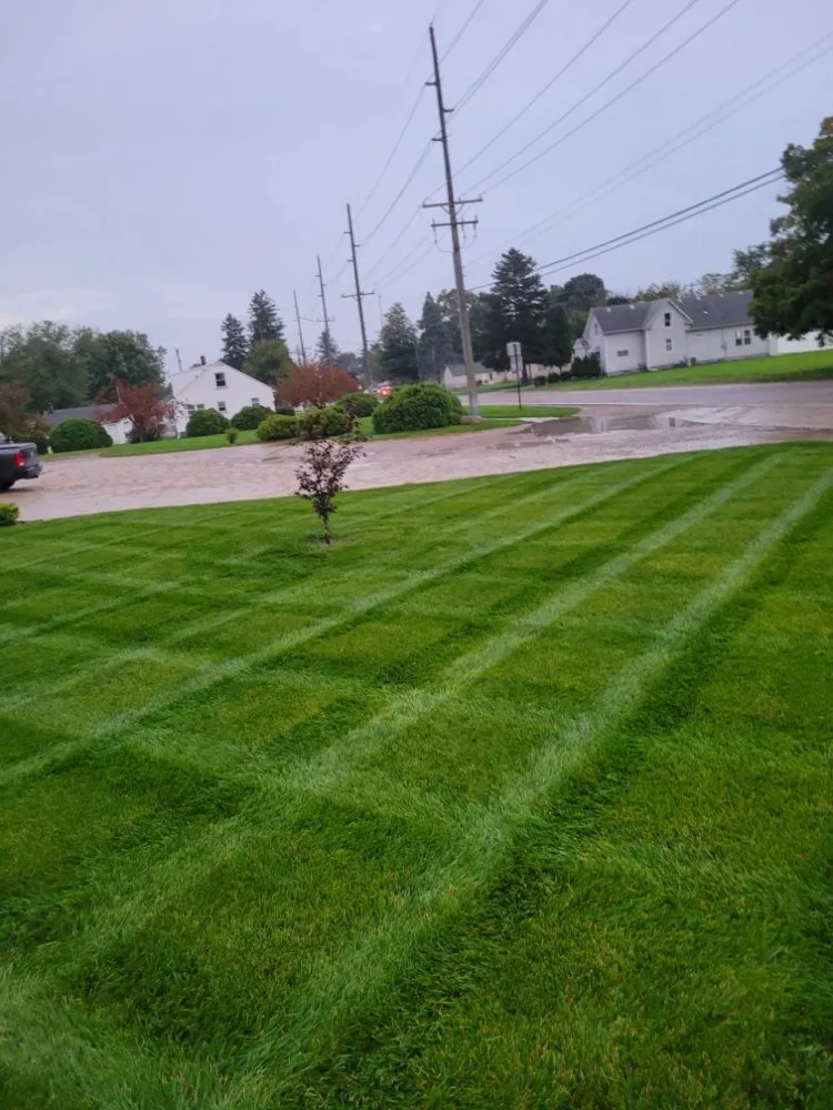 Top-rated outdoor landscaping experts serving Ray, MI - L & S Removal