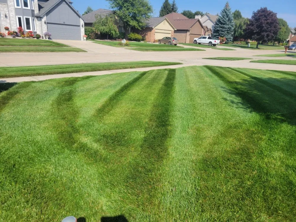 Top-rated garden landscaping in Ray, MI - L & S Removal