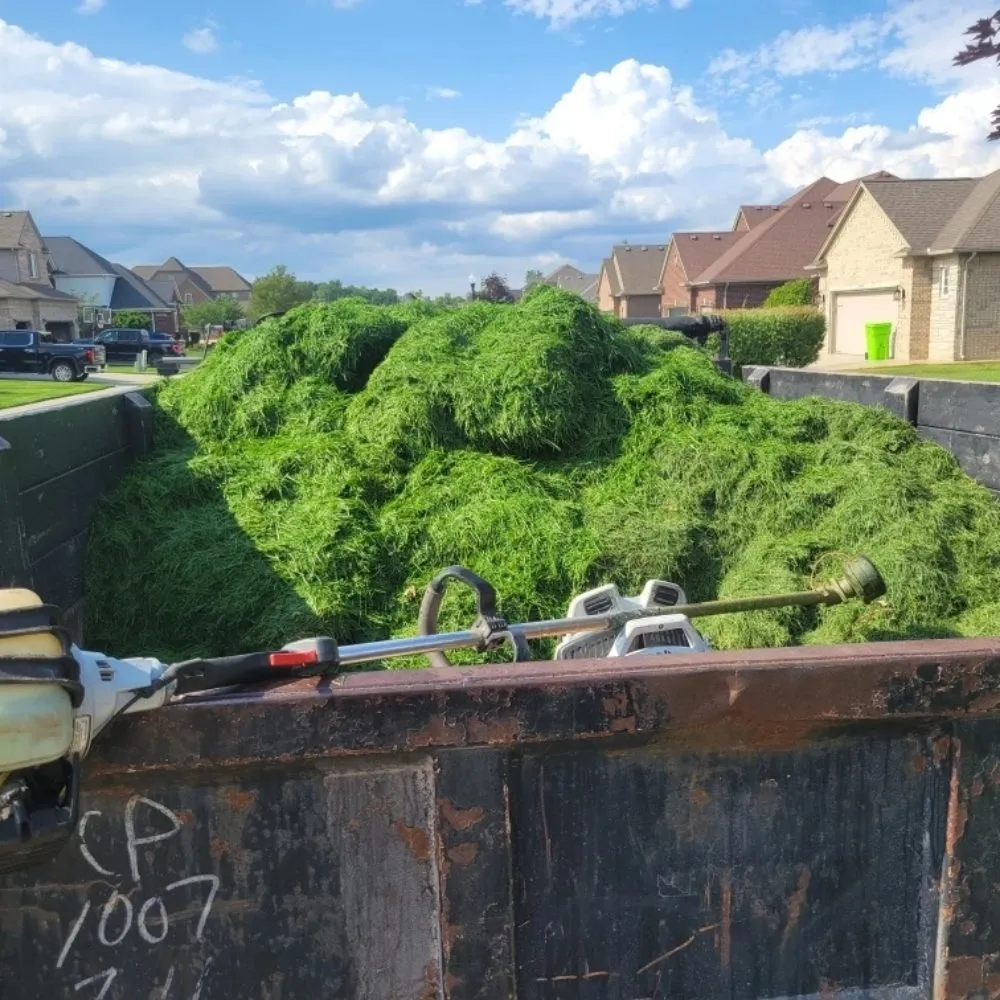 Trusted landscape installation for outdoor upgrades across Ray, MI - L & S Removal