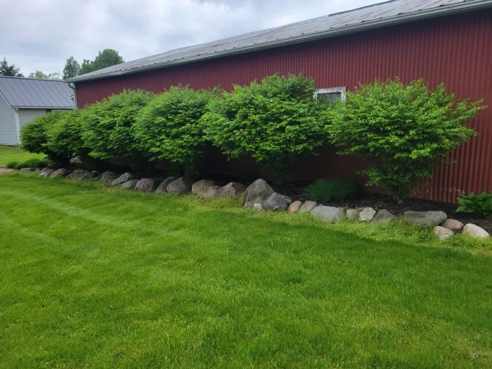 Affordable yard cleanup service near you in Ray, MI by L & S Removal