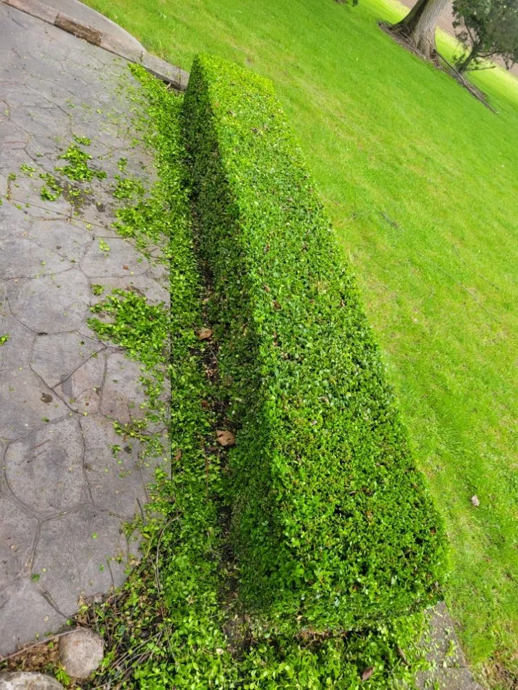 Affordable lawn mowing service in Ray, MI by L & S Removal