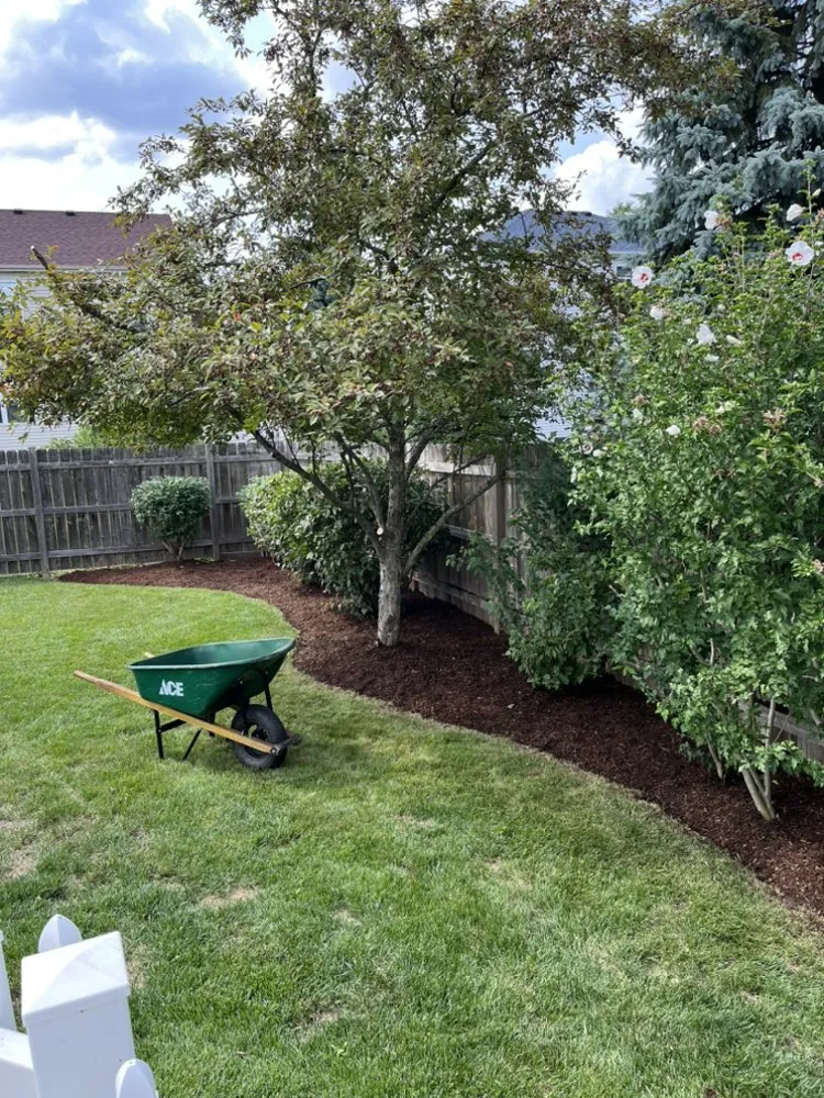 Reliable lawn mowing service for residential properties across Round Lake Beach, IL - L & Son