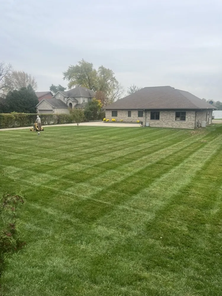 Reliable yard cleanup service near you in Round Lake Beach, IL by L & Son