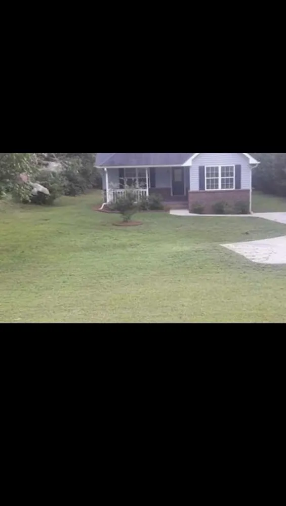 Affordable yard cleanup service near you across Mount Airy, GA - L & T Landscaping & Land Clearing